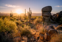 Sunrise In The Sonoran Desert With Boulders And Saguaro Cacti