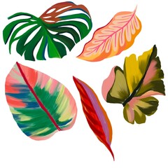 set of hand drawn tropical leaves