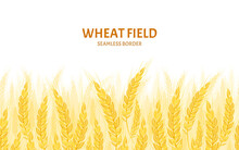 Wheat Field Background. Cereal Plants Seamless Pattern. Vector Cartoon Illustration.