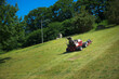 A gardener uses a specialized mower to cut grass on this very, very steep hillside in Binghamton in Upstate NY.  8 wheel drive helps this tractor mow this grade of hilside safely.  