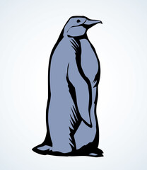 Wall Mural - Penguin on the ice. Vector drawing