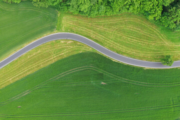 Wall Mural - Drone photo of the bright green wheat field separated by the road.