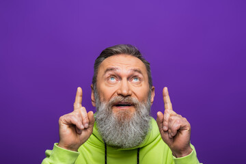 Wall Mural - senior man with beard and grey hair looking up while pointing with fingers isolated on purple.