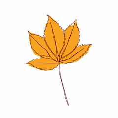 Wall Mural - Vector autumn leaf continuous line drawing. Autumn leaf one line style icon vector illustration design