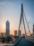 Fototapeta Londyn - Rotterdam with bridge and skyline