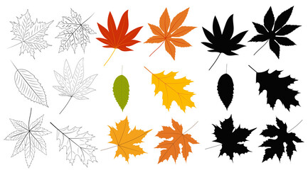 tree leaves set silhouette on white background, isolated