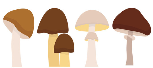 Wall Mural - mushrooms in flat design, isolated vector