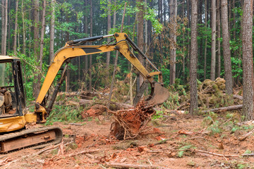 Canvas Print - Construction site area of tree stump removal roots into forest with preparing land for housing new complex