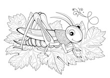 Cute Cricket. Coloring Book For Children And Adults. Illustration In Zentangle Style. Printable Page For Drawing And Meditation. Black And White Vector For Decoration, T-shirts, Tattoo, Design.