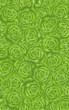 Green roses background 