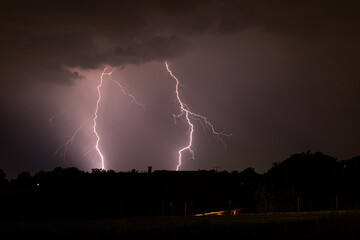 Wall Mural - double lightning strike behind a row of trees during a nighttime thunderstorm