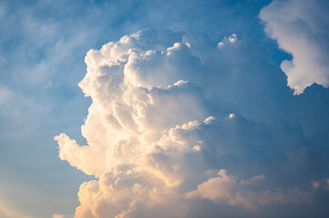 Wall Mural - top of a cumulonimbus storm cloud illuminated by the low sun