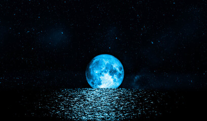 Wall Mural - seascape and palm tree at night at full moon in sky the moon original source from nasa