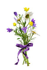 Wall Mural - wild meadow flowers in a summer bouquet with purple ribbon bow isolated on white