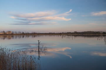 Wall Mural - Reflections of white clouds in Saurieši gypsum quarry lake. Top of old sunken trees in the water