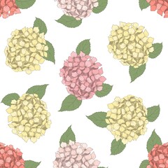 Wall Mural - Seamless pattern with beautiful hydrangea flowers and leaves. Vector illustration.