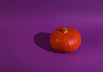 Orange pumpkin with a shadow on a bright purple background. Minimal Halloween still life. Creative layout