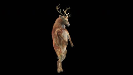 Wall Mural - deer dancing cg fur 3d rendering animal realistic cgi vfx animation loop composition 3d mapping cart
