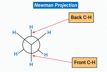 Newman Projection: The carbon atoms near the eye is represented by a point and three other atoms or groups attached to it by 3 equally spaced lines.