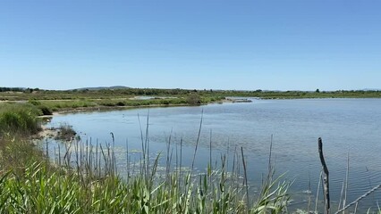 Poster - Etang du Méjean, Occitanie