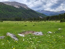 Refreshing Summer Landscape In Stabelchod In Swiss National Park, Zernez, Canton Graubunden, Switzerland.