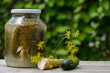 Pickled cucumbers on a wooden table, greenery in the background. Daylight, natural. Copy space for text,