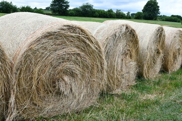 Sticker - Hay Bales