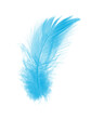 Beautiful  blue feather isolated on white background