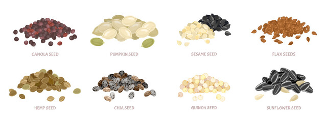 Seed pile set. Flax seed, sesame, chia, pumpkin seeds, canola, sunflower, quinoa, hemp seed. Vector simple illustration isolated on white. Icon in flat style.