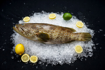 Wall Mural - big fresh fish on ice