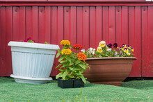 Several Flower Pots With Flowering Plants Against The Wall With The Siding Of A Country House