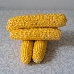 Wall Mural - stack of corn cobs fresh stacked on light background