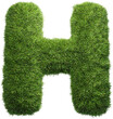 grass letter H isolated on white background
