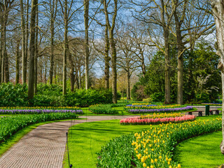 Winding pathways, lush gree lawns and colorful tulips in Keukenhof garden, Netherlands