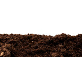 Fototapeta  - Peat moss isolaetd on white background with clipping path