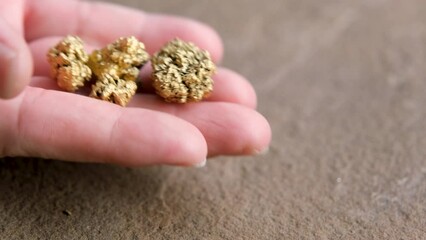 Canvas Print - The man's hand was holding the gold ore found in the mines.	