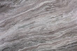 Fantasy brown commercial - natural quartzite stone texture, photo of slab.