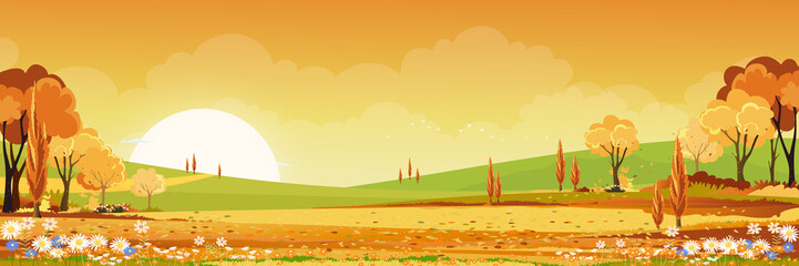 Autumn rural landscape in evening light with sunset, yellow, orange sky background,Vector pano Cartoon fall season at countryside with forest tree and grass field with sunrise,Backdrop natural banner