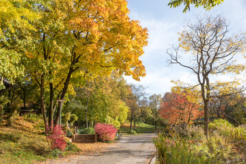 Wall Mural - walkway in city park Westpark munich, autumn season