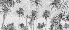 Coconut Palm Tree Under Blue Sky. Vintage Background. Hand Drawn Style Pencil Sketch
