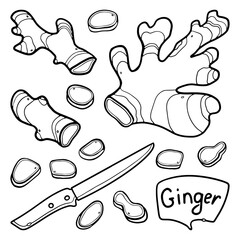 Ginger hand-drawn outline Vector Set. Ginger whole, knife cut, ground. For menu design in doodle style