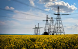 Fototapeta Mapy - Transmission towers in the middle of a yellow canola field in bloom. High voltage power line at Spring