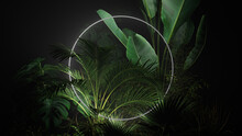 Tropical Leaves Illuminated With White Fluorescent Light. Exotic Environment With Circle Shaped Neon Frame.