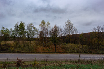 Wall Mural - Autumn landscape on a gloomy autumn day