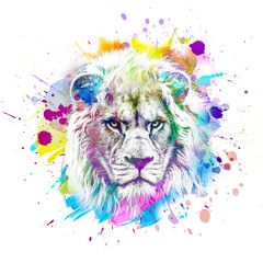 Wall Mural - abstract colorful lion muzzle illustration, graphic design concept