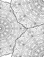  Coloring page for adults. Beautiful Mandala