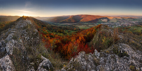 Canvas Print - majestic particolored forest with sunny beams. natural park. dramatic unusual scene. red and yellow 