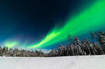 aurores boréales en laponie finlandaise