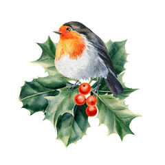 bird robin on a branch watercolor on a white isolated background. winter holiday card