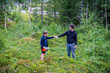 Caucasian teenager and young boy picking blueberrys in a forest glade in northern Sweden.